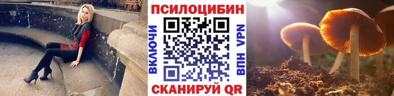 Псилоцибиновые грибы GOLDEN TEACHER Иноземцево